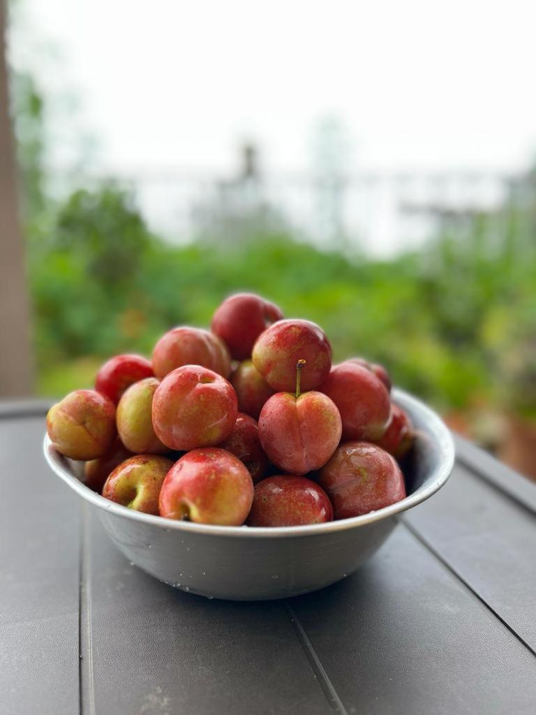 Darjeeling Bnb Eksteriør bilde